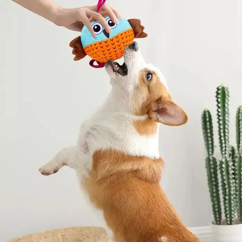 interactive dog chew toy inflatable