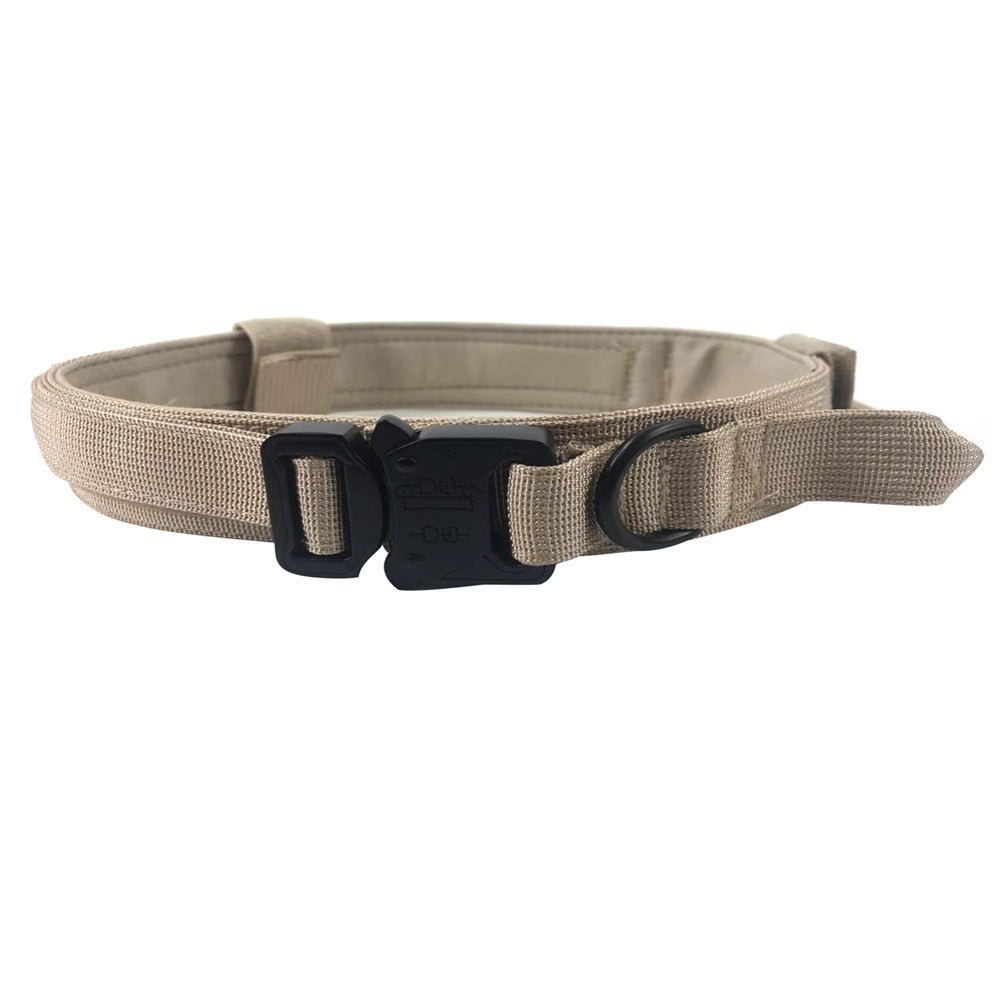 tactical dog collar set close-up clip and stitching
