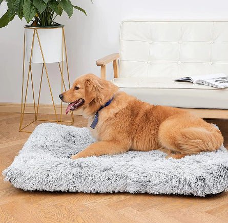 Plush Square Pet Bed deep sleep