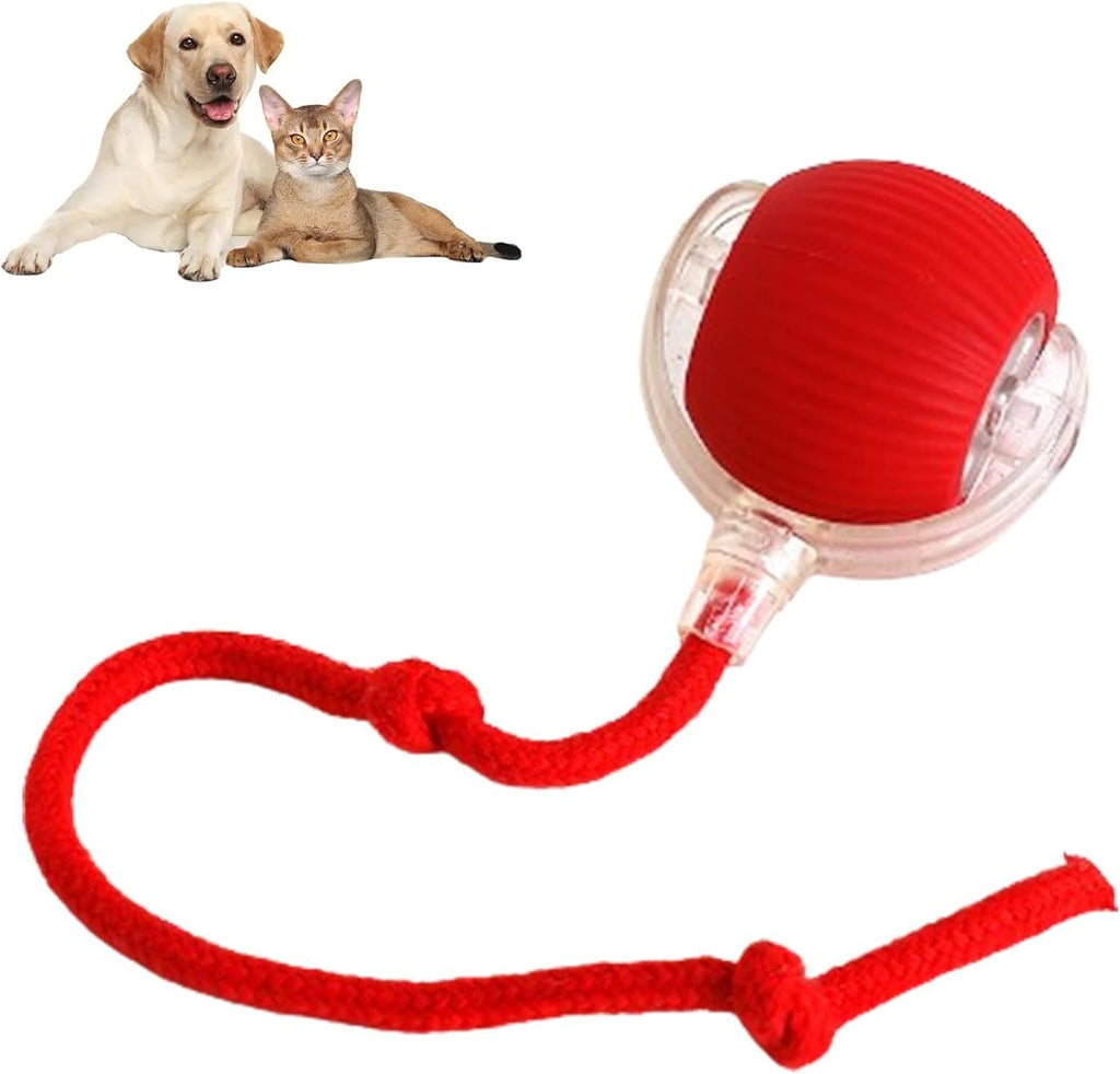 interactive rolling pet ball for dogs