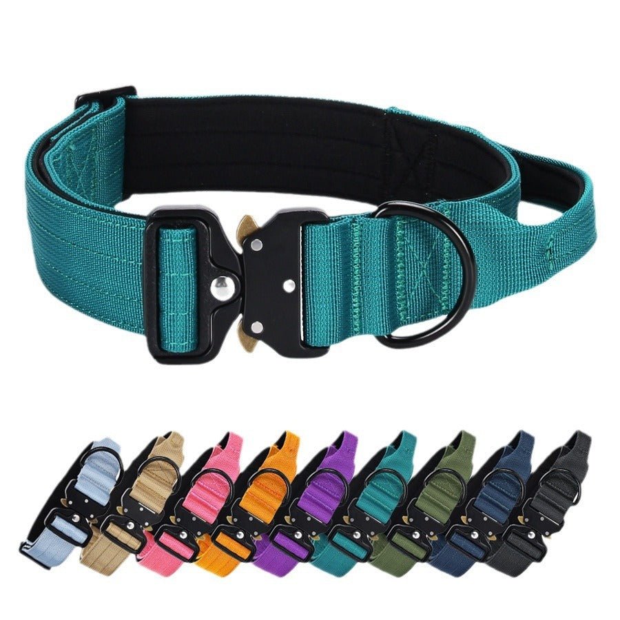 explosion proof dog collar on large dog
