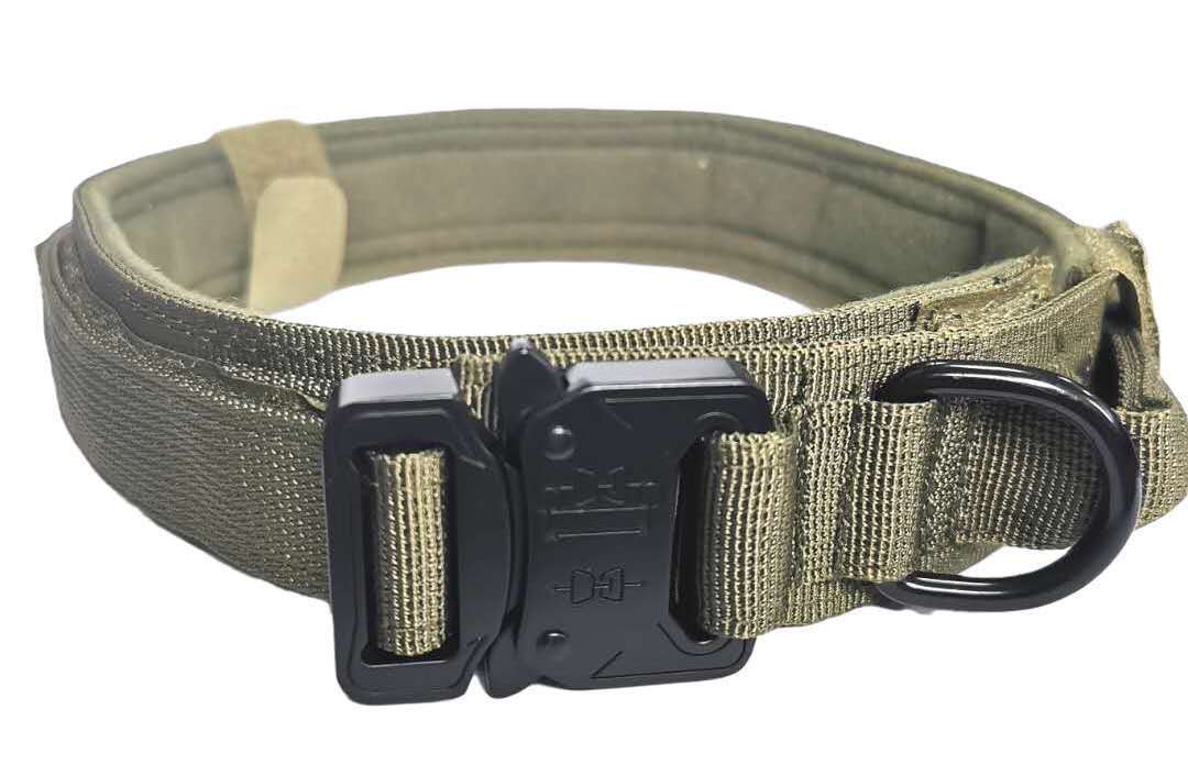 outdoor tactical dog collar on display