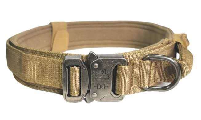 outdoor tactical dog collar durable design