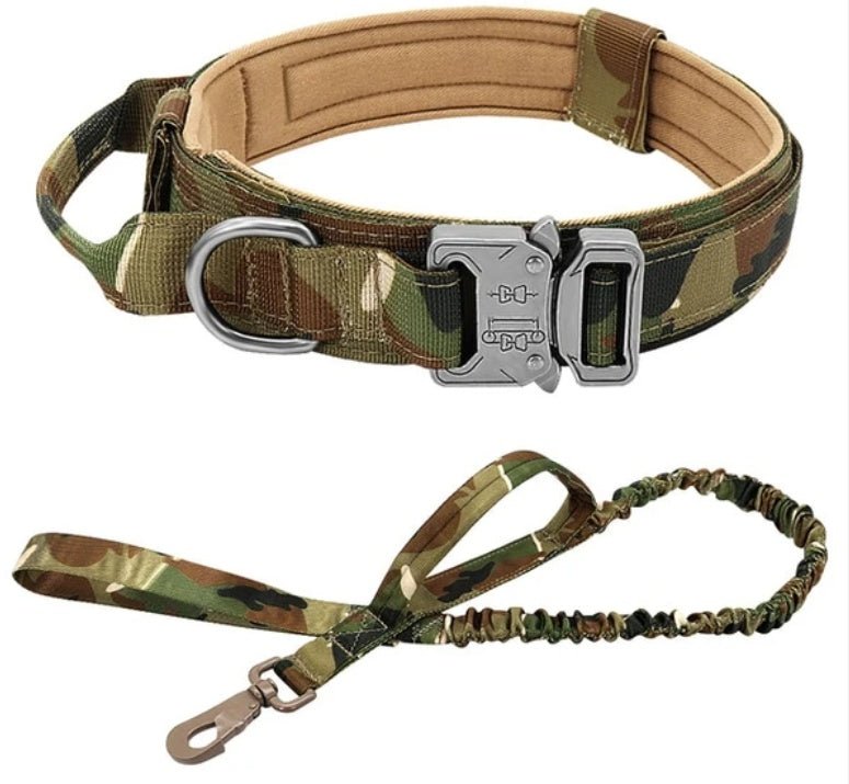 tactical nylon dog collar adjustable fit
