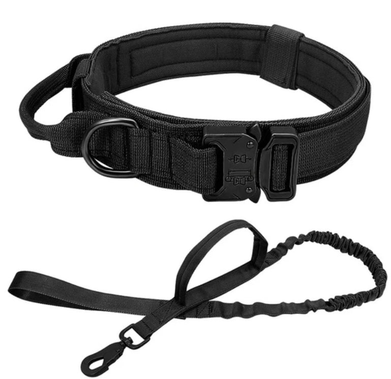 tactical nylon dog collar training use