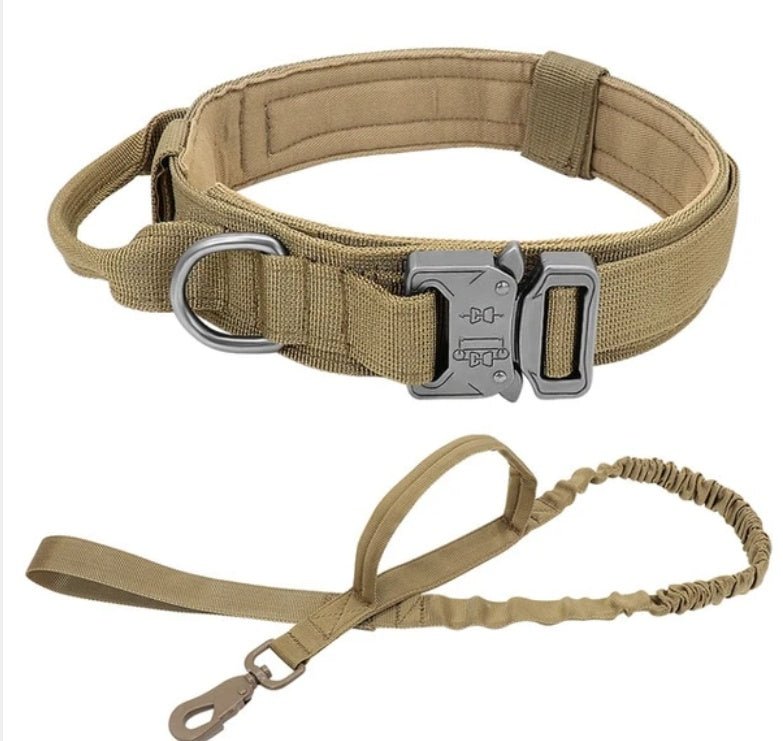 tactical nylon dog collar closeup