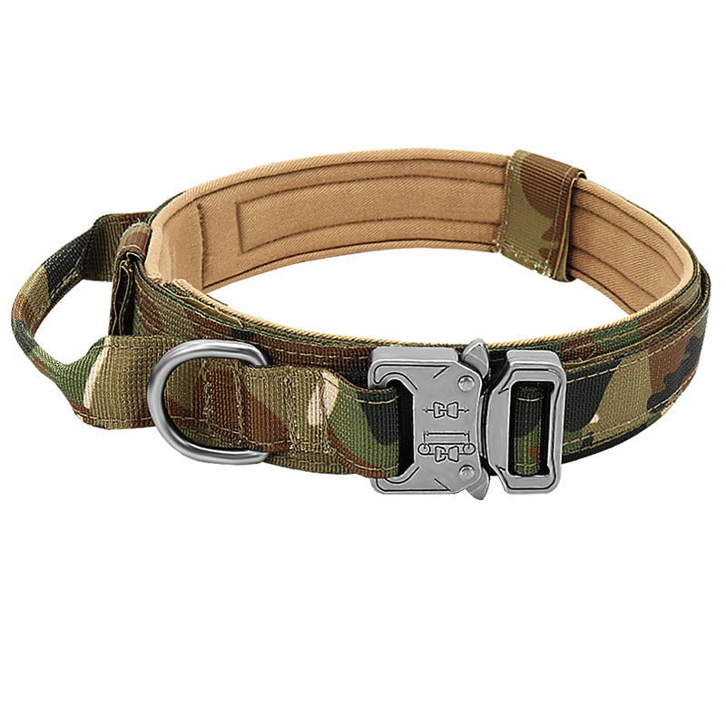 tactical nylon dog collar on dog