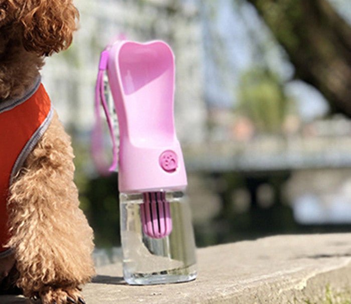 Pet portable water bottle for dogs