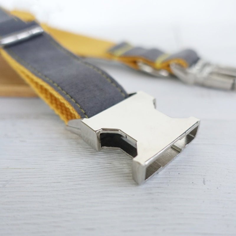 retractable dog training collar daily walking