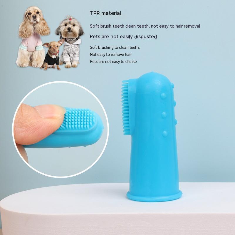 Cat using pet finger toothbrush cat dog