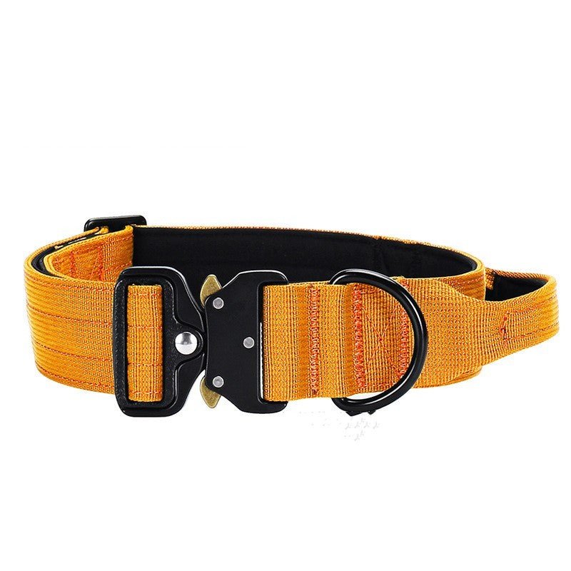 explosion proof dog collar training control