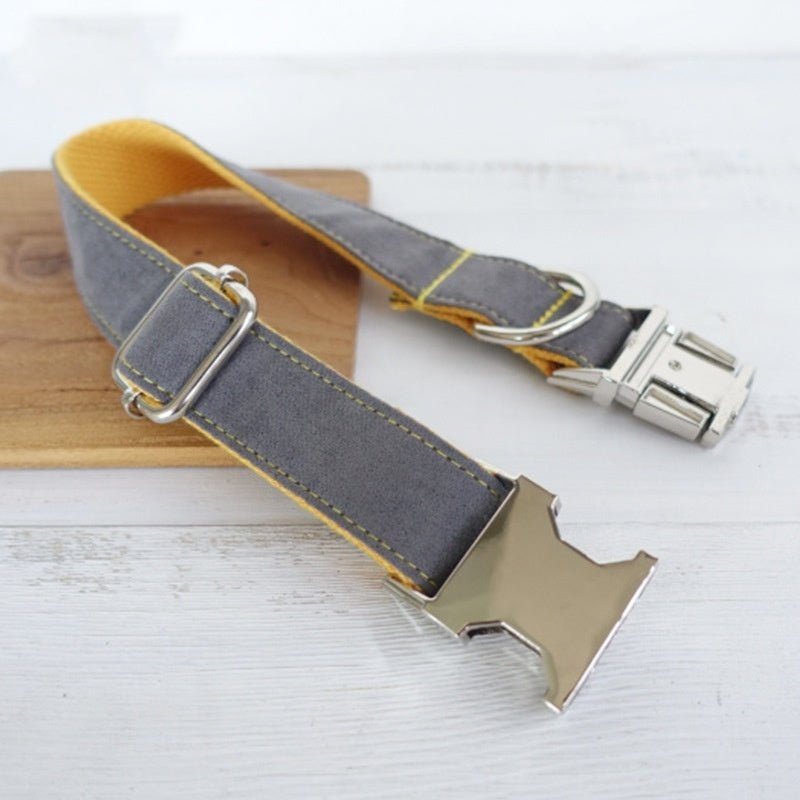 retractable dog training collar comfortable strap