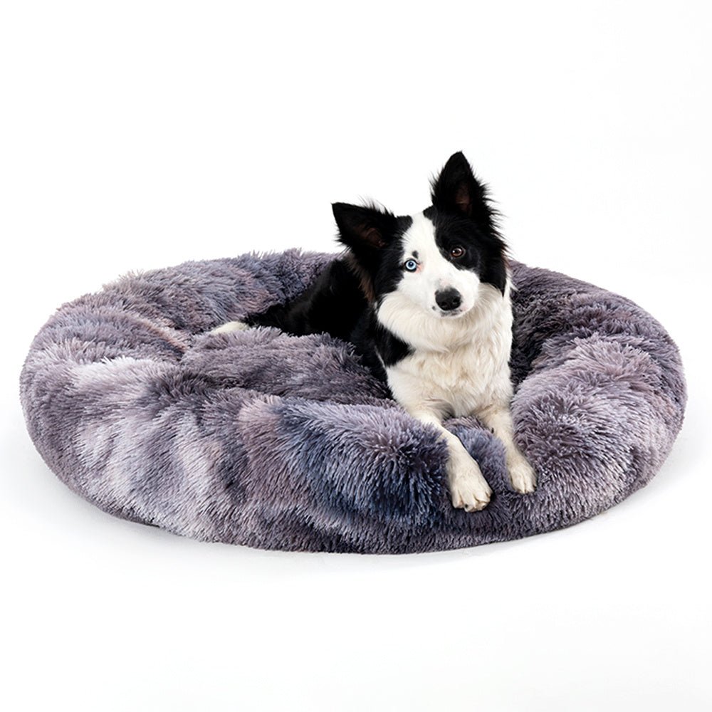 Fluffy donut pet bed with small dog sleeping peacefully