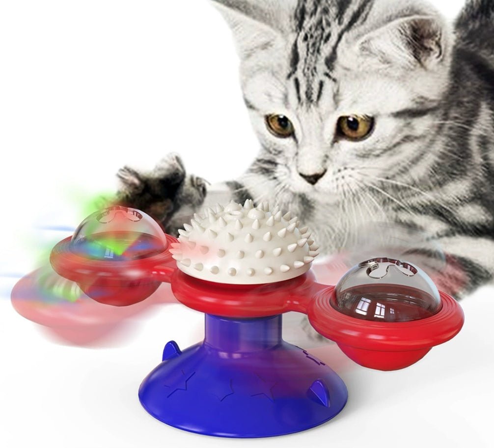 interactive cat entertainment set kitten play
