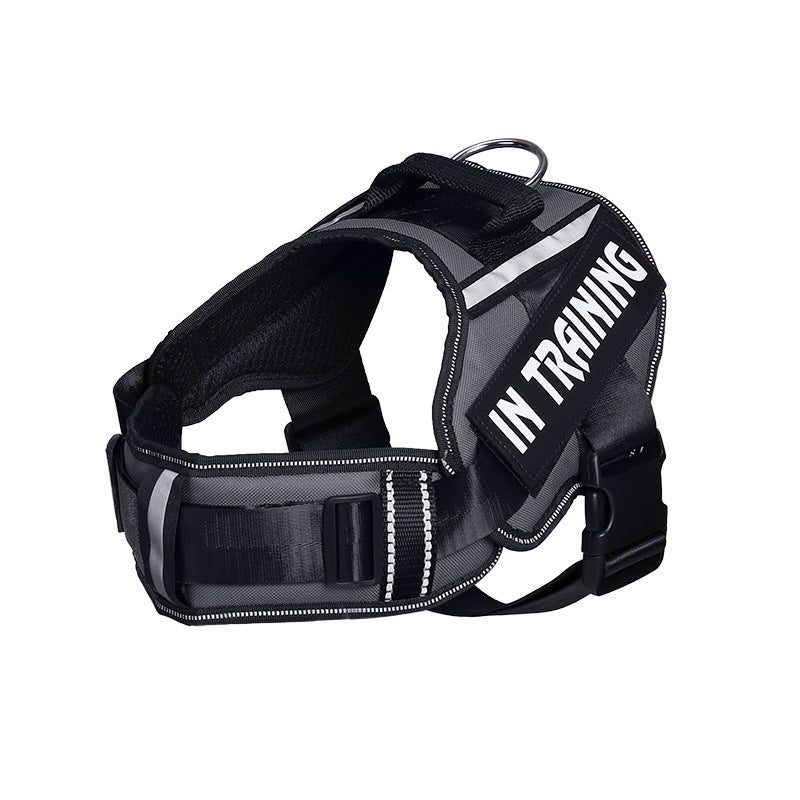 outdoor dog harness