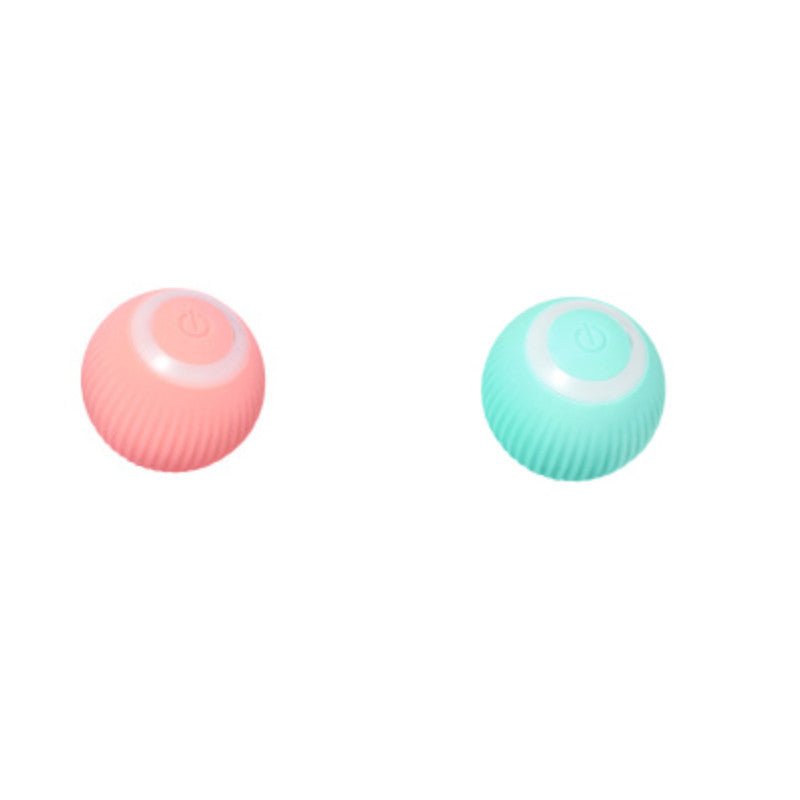 cat exercise rolling ball