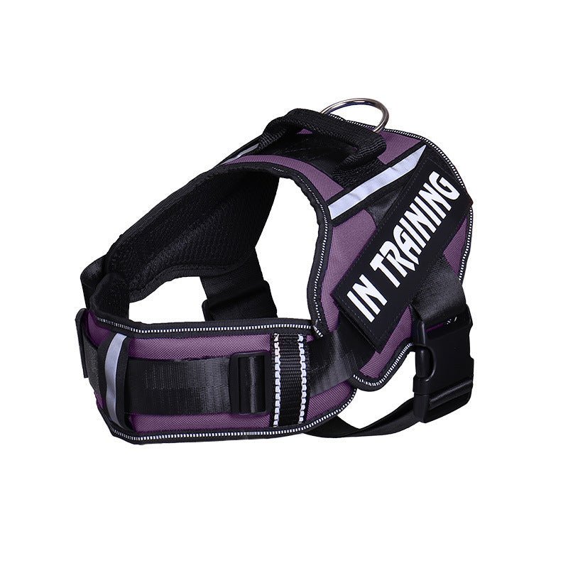 durable dog harness