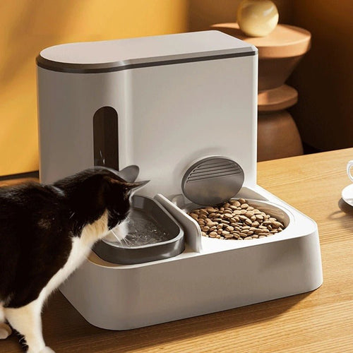 automatic cat feeder bowl