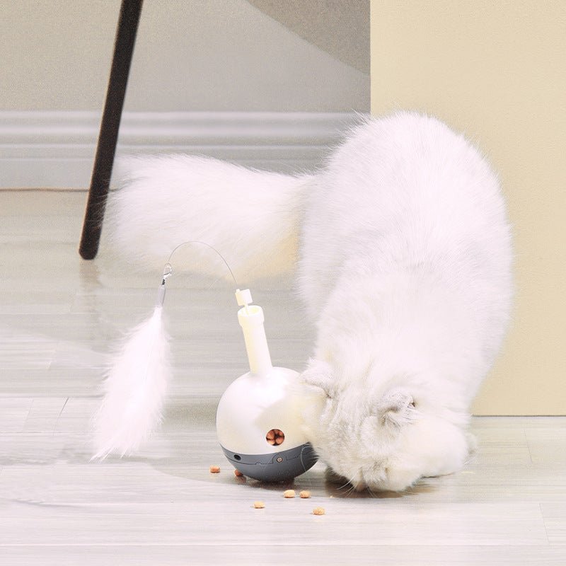 interactive indoor cat toy rechargeable