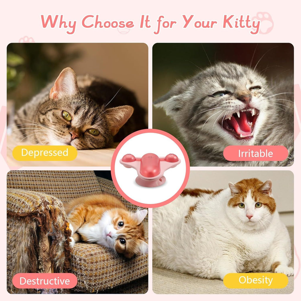 interactive cat puzzle feeder for small pets