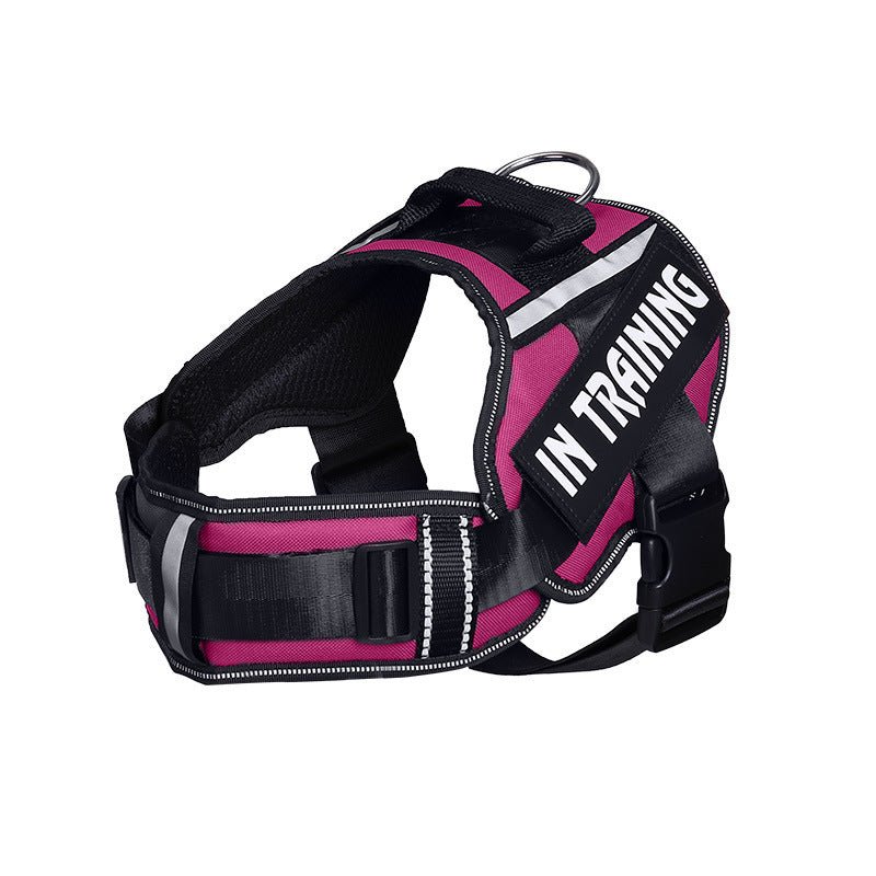 training dog harness