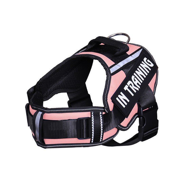 comfortable dog harness