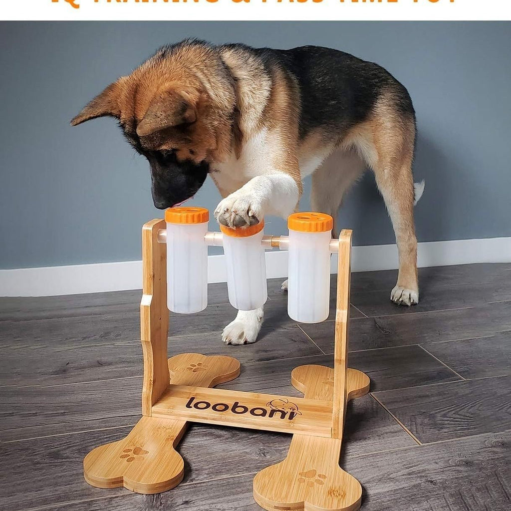 interactive dog puzzle toy details