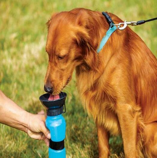 portable dog water bottle outdoor use