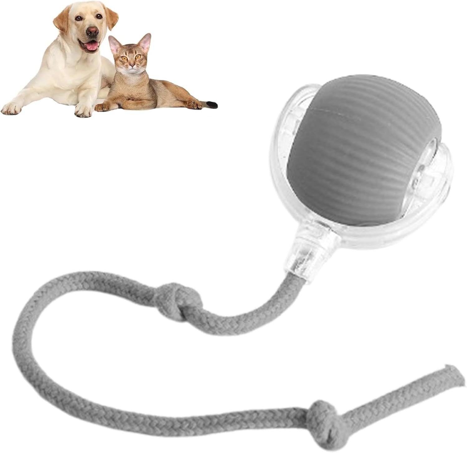 interactive rolling pet ball exercise toy
