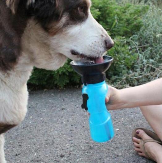 portable dog water bottle leakproof design