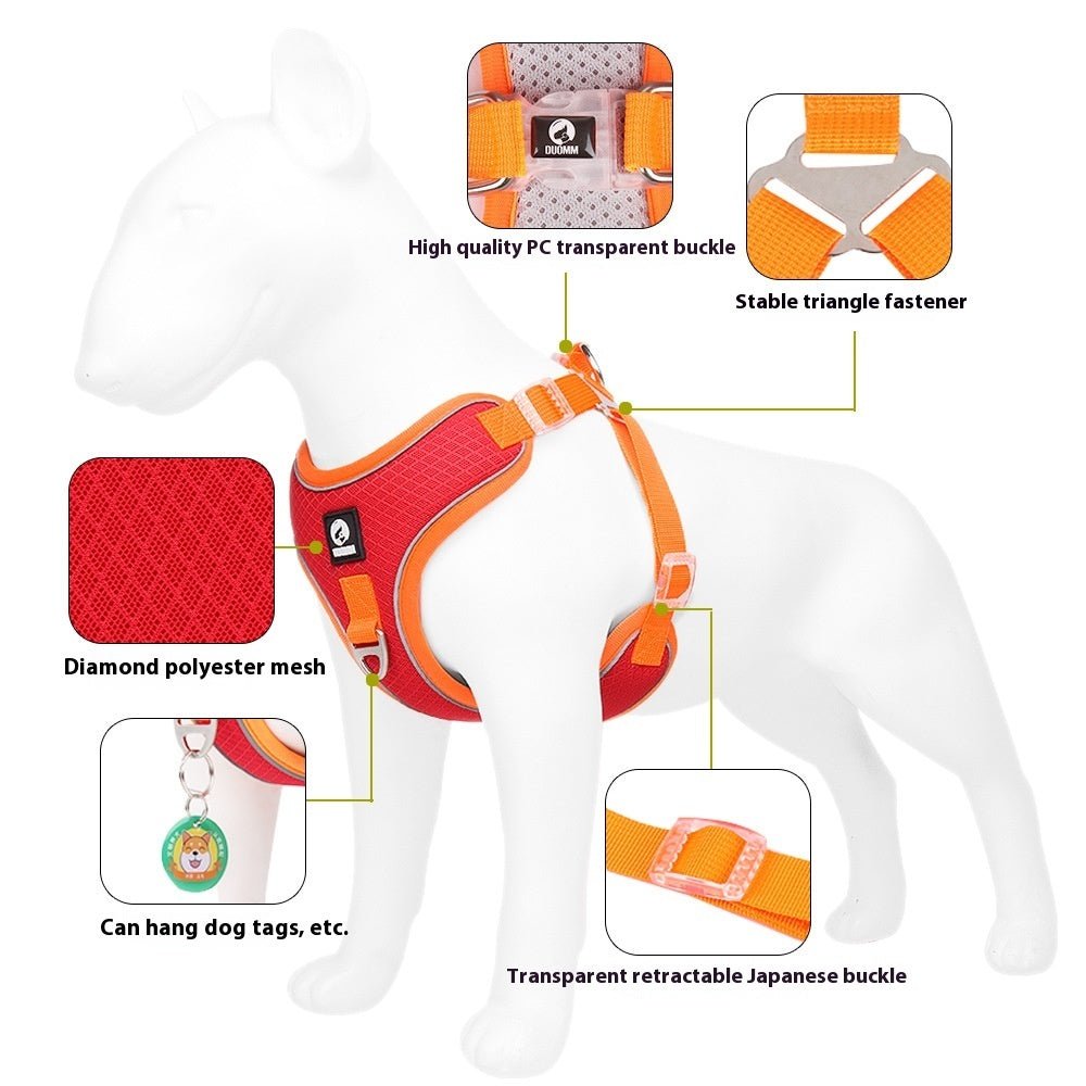 adjustable breathable dog harness on small dog