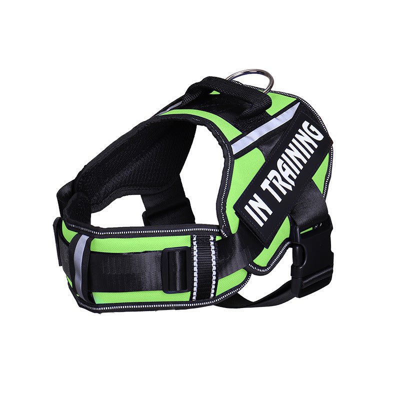 safety dog harness