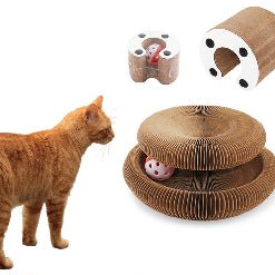Magic Organ Cat Scratch Board Toy with an orange cat and interactive scratch toys.