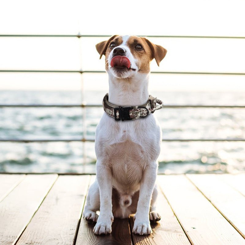 tactical dog training collar adjustable design