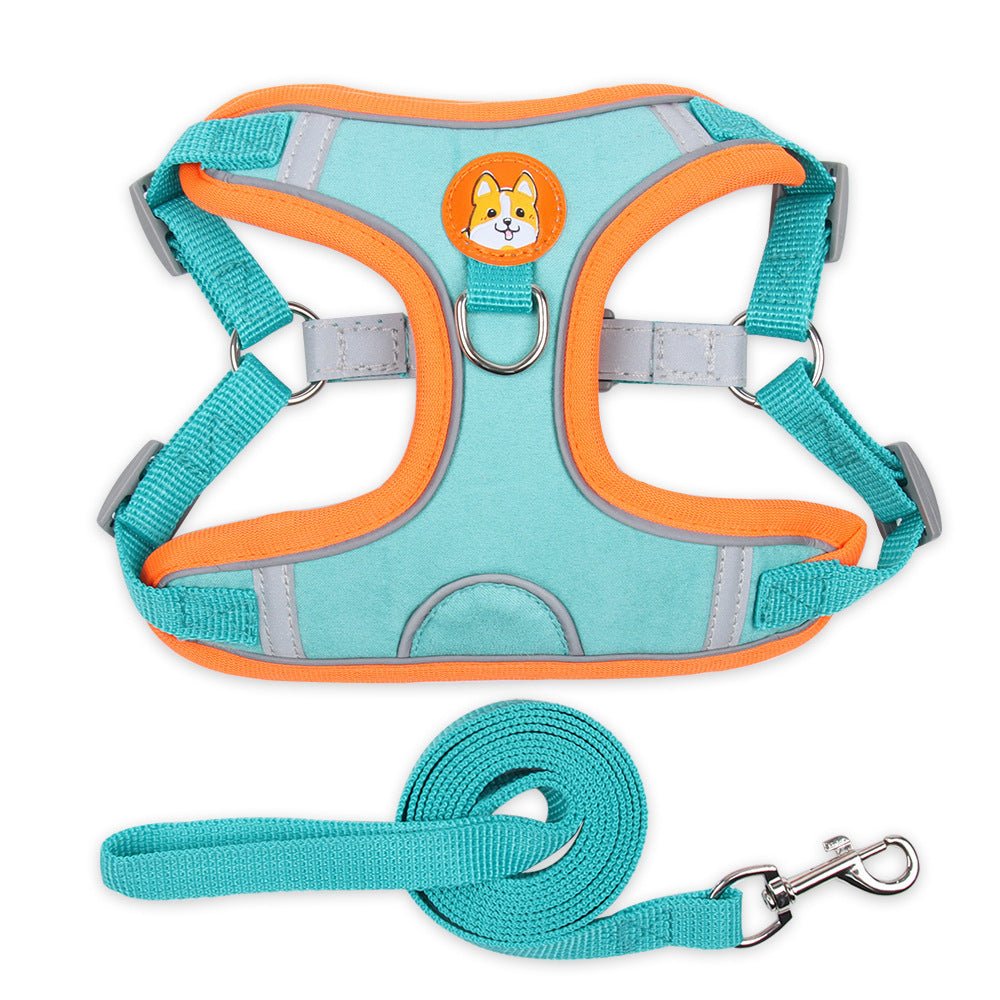 vest type dog harness on small dog