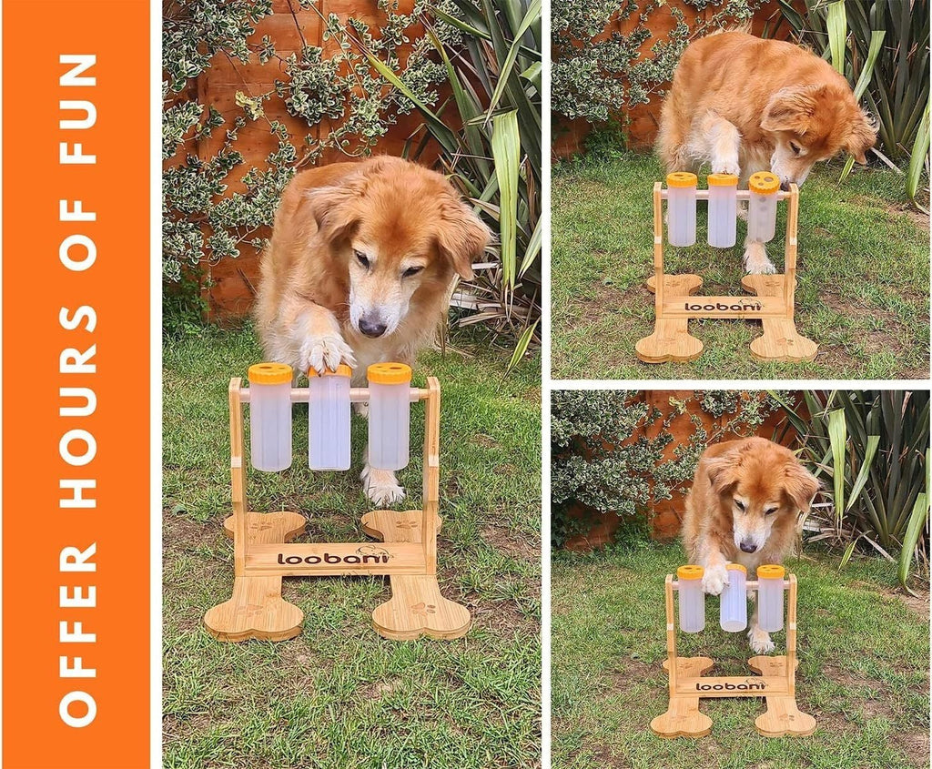 interactive dog puzzle toy for pets