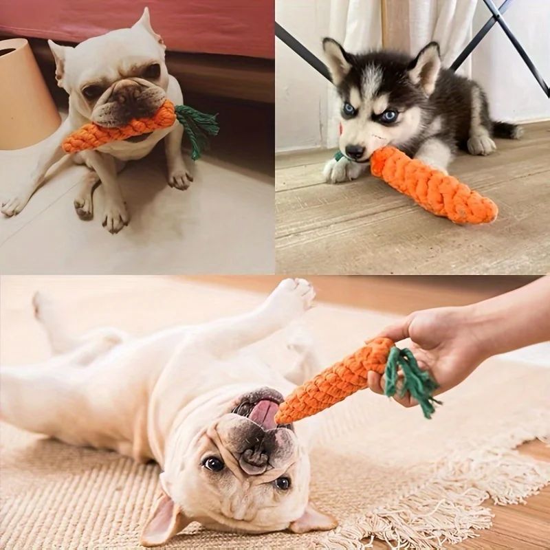 carrot design dog tug toy