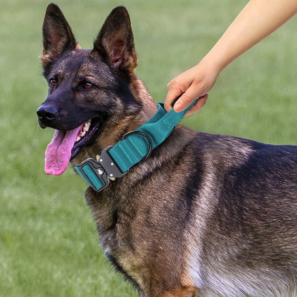 explosion proof dog collar front view