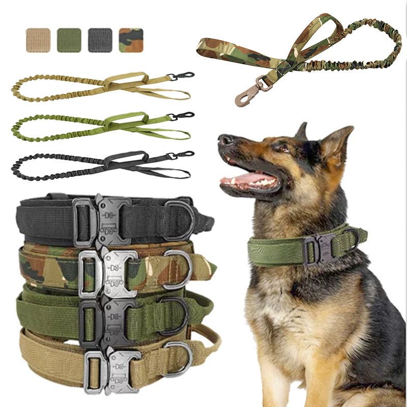 tactical dog collar set on a hiking trail