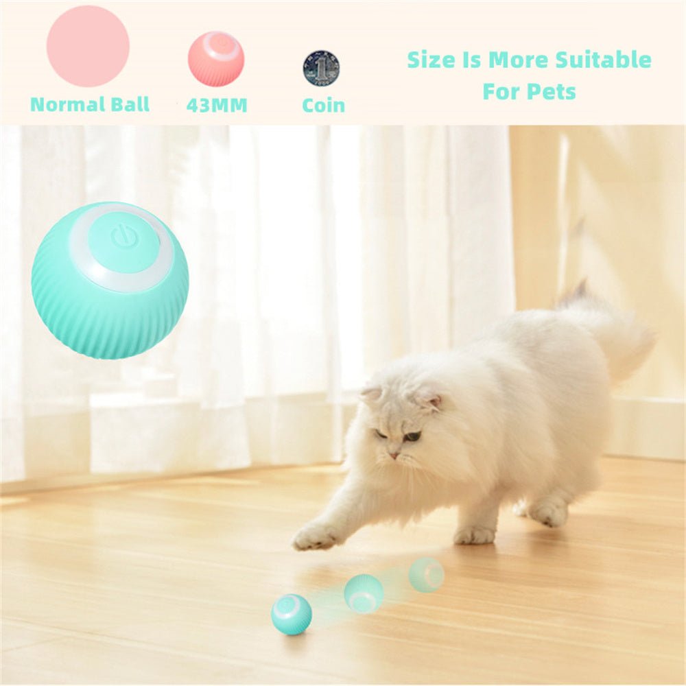 cat intelligent rolling ball