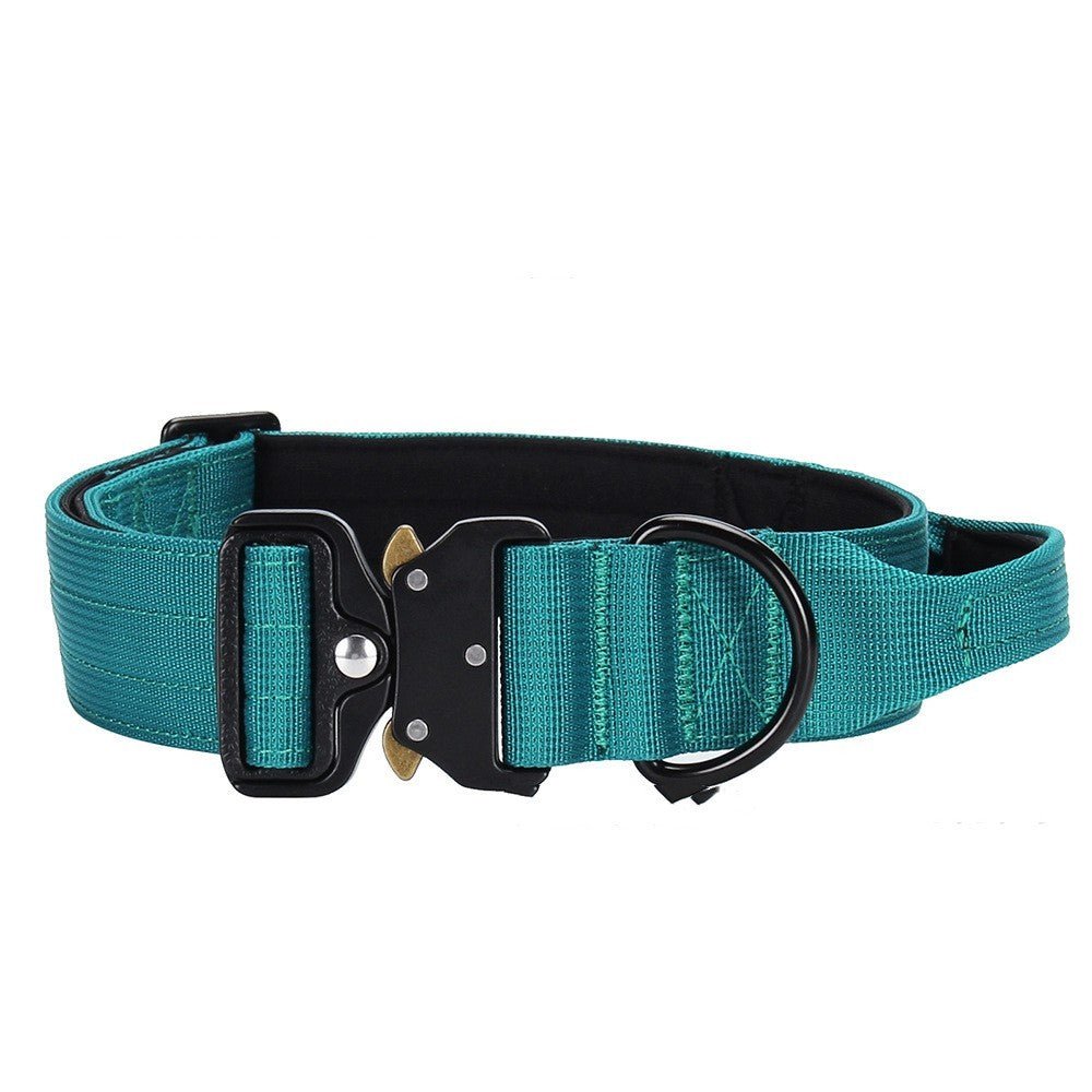 explosion proof dog collar outdoor use