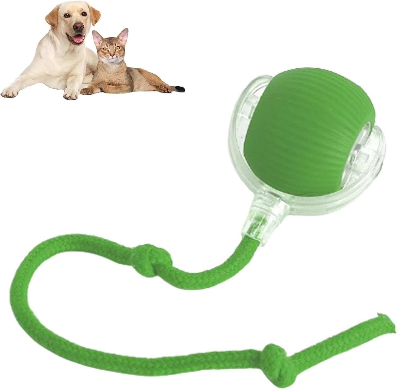 interactive rolling pet ball durable design