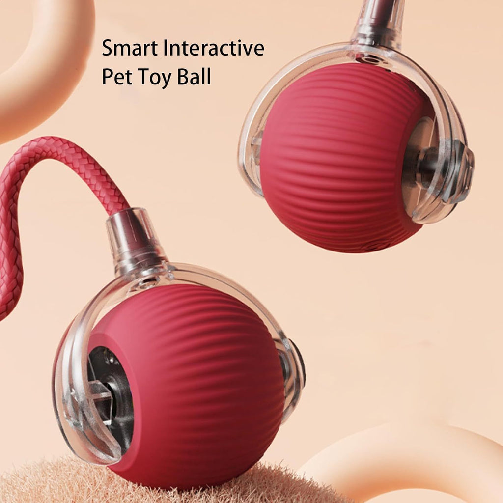 interactive rolling pet ball smart motion