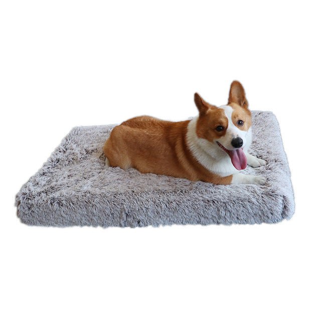 Best Plush Square Pet Bed