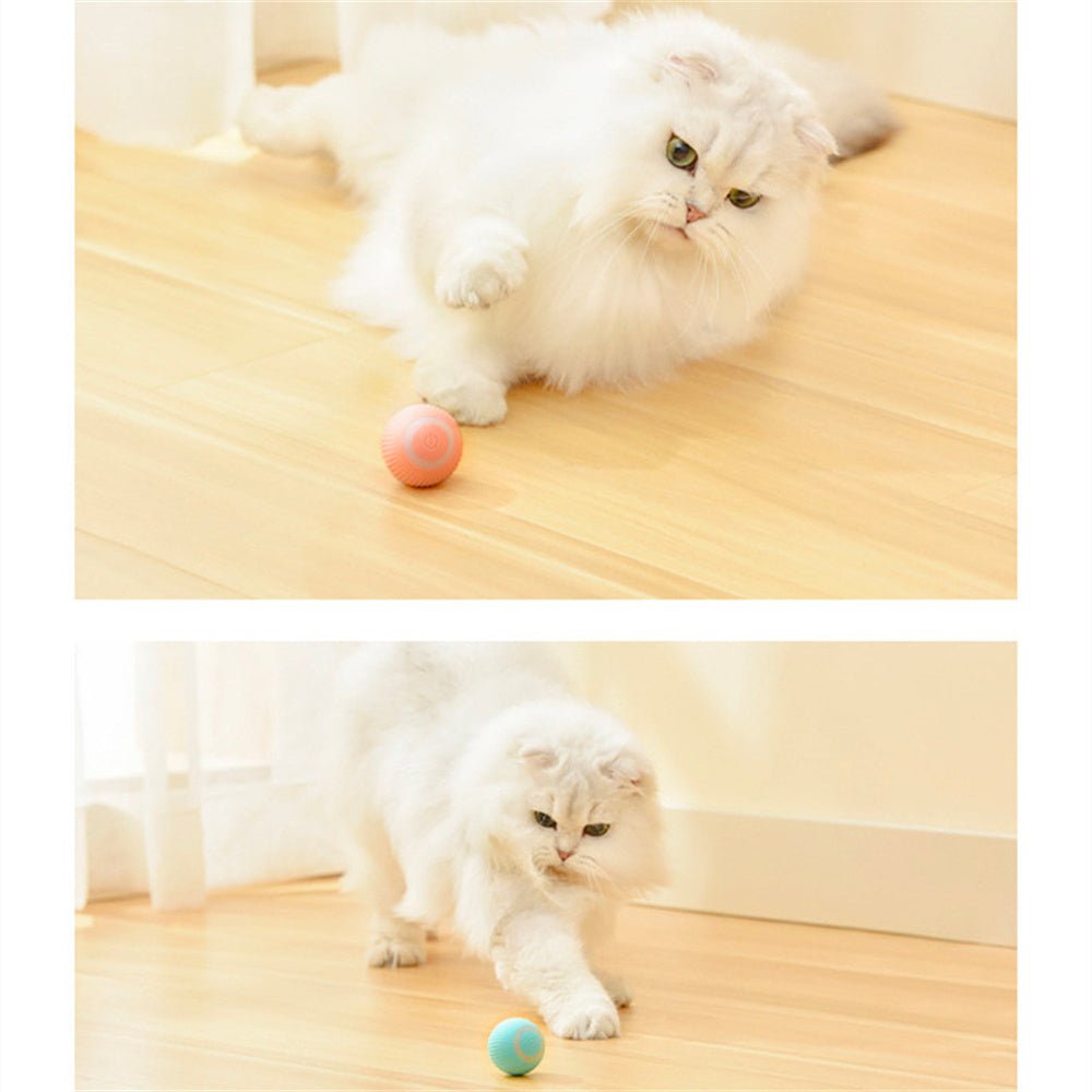 automatic cat toy ball