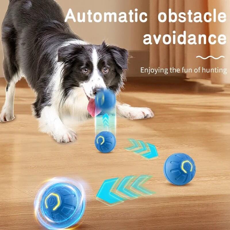 PawMotion™ Smart Interactive Pet Ball - Amigo Pet Boutique