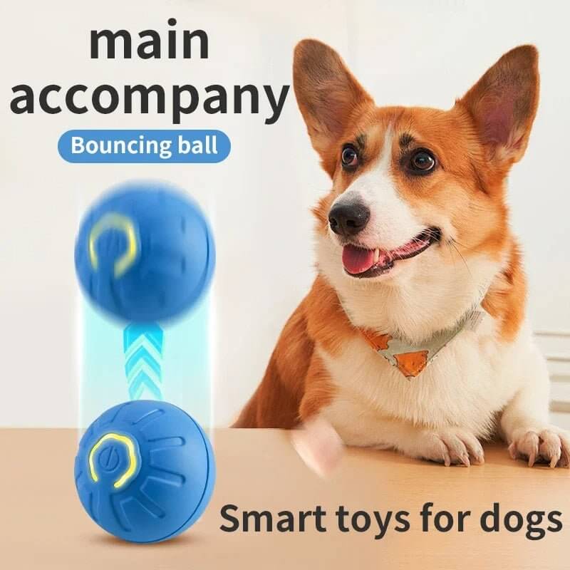 PawMotion™ Smart Interactive Pet Ball - Amigo Pet Boutique