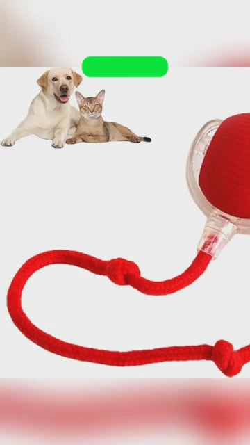 fallback text for a video